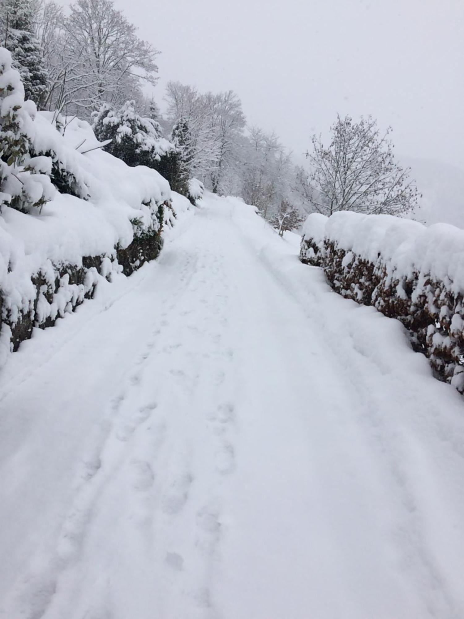 Altes Berghaus Appartement Obertal  Buitenkant foto