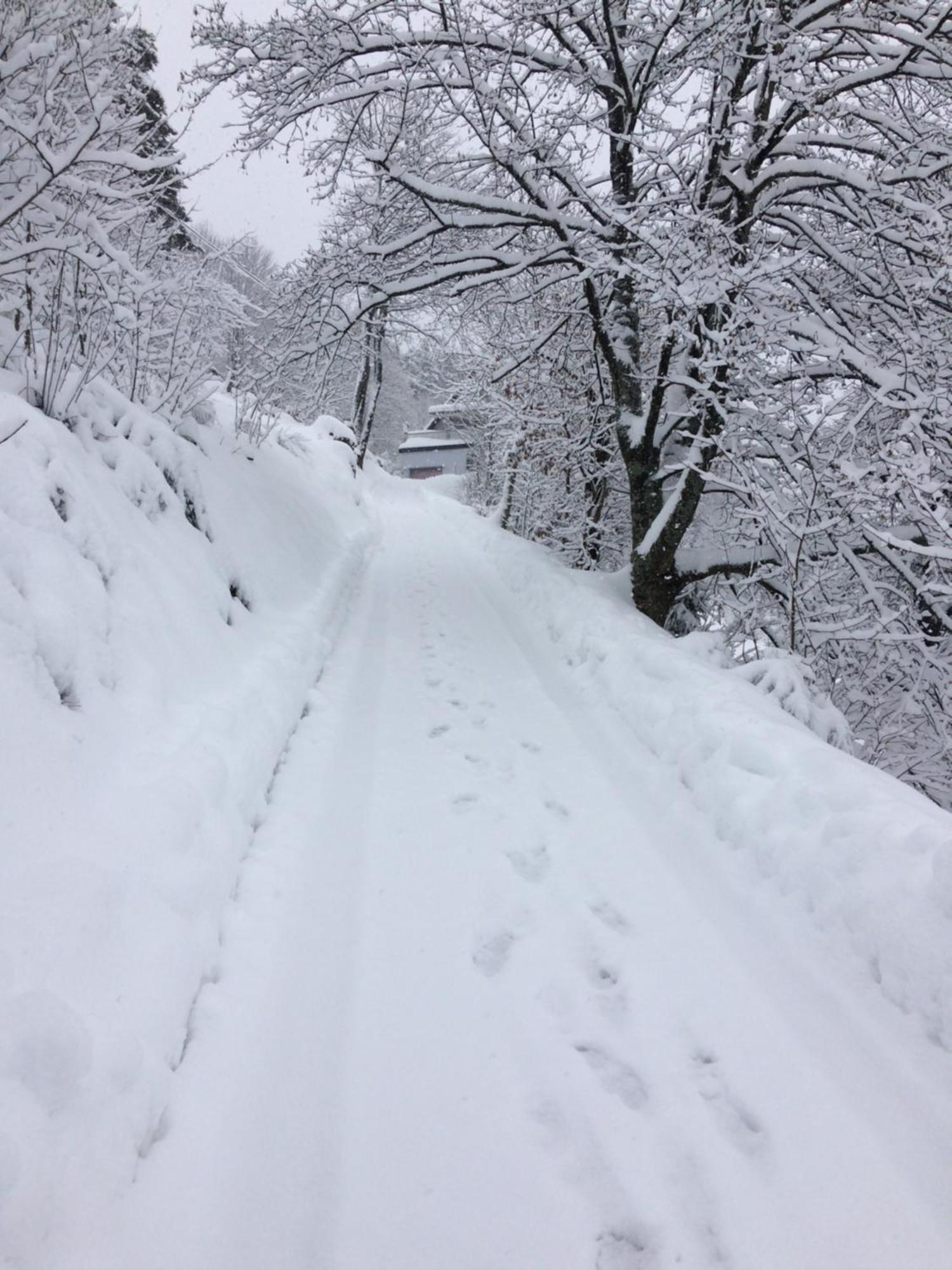 Altes Berghaus Appartement Obertal  Buitenkant foto